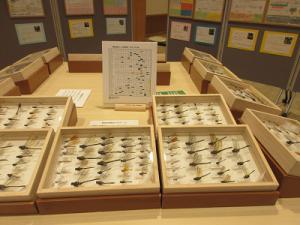 R5西岡公園写真2