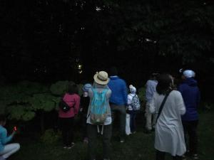 過去の観察会の様子