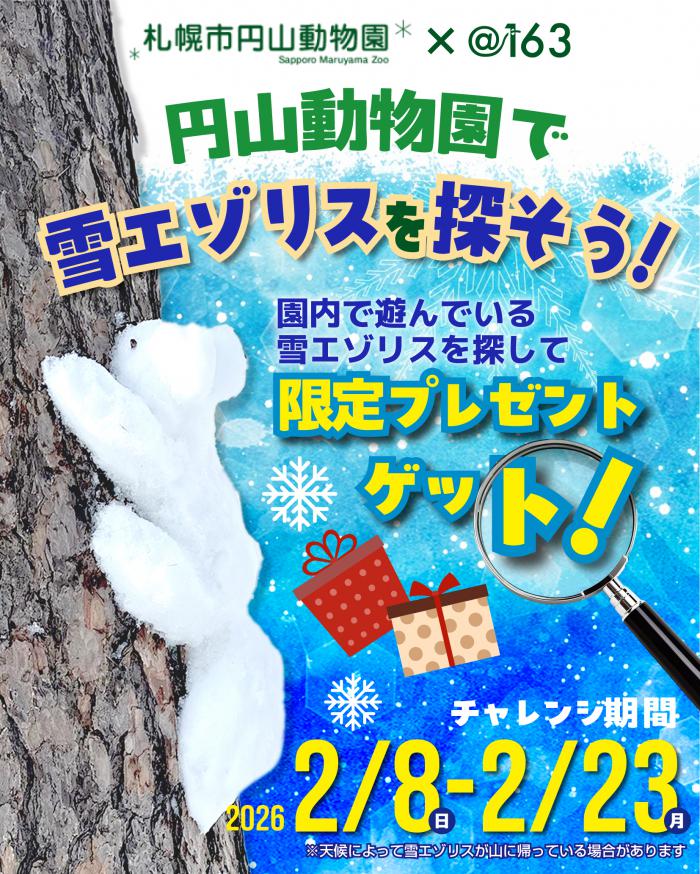動物の雪像を探そう！