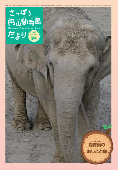 動物園だより2026夏号