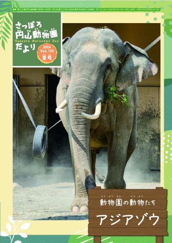 夏号