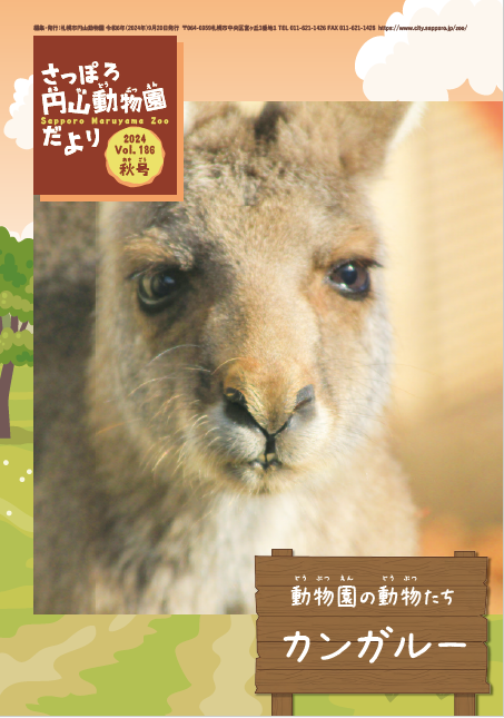 カンガルー