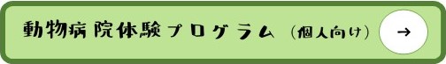 動物病院体験プログラム