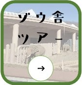 ゾウ舎ツアー