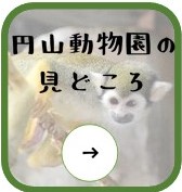 動物園のみどころ