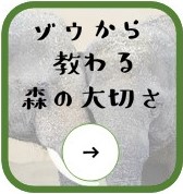 ゾウから教わる森の大切さ