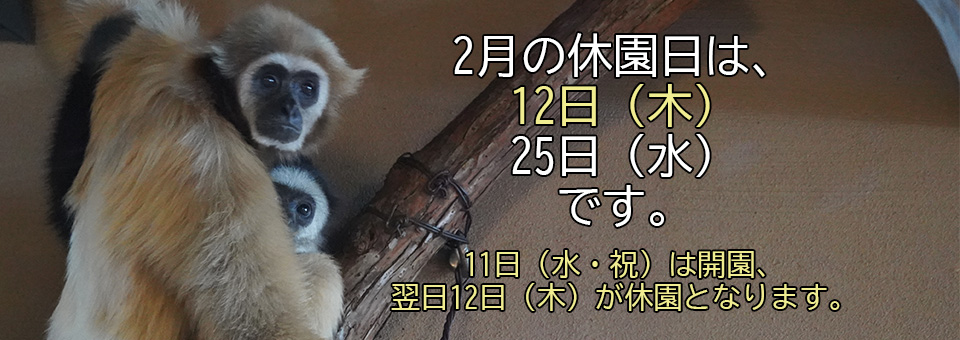 2026.2休園日