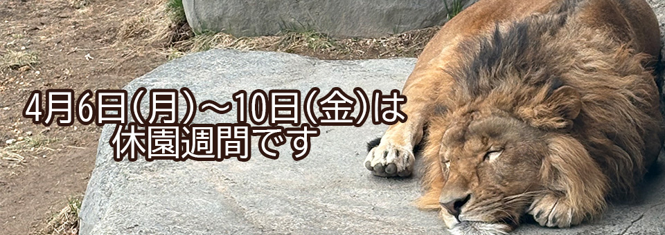 2026.4休園週間