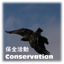 conservation_.jpg