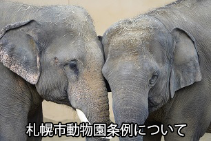 札幌市動物園条例について