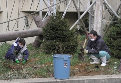 植栽を設置する動物専門員