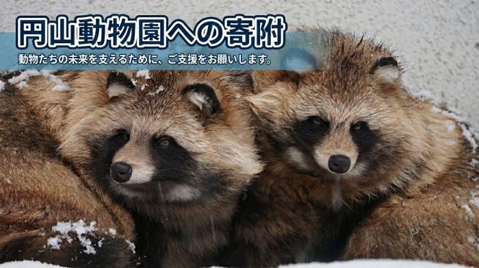 寄附ページのトップ画像