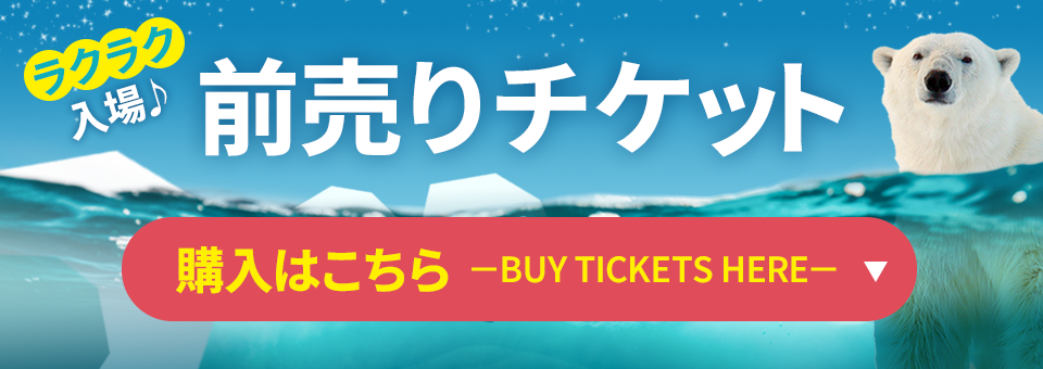 電子チケット購入リンク