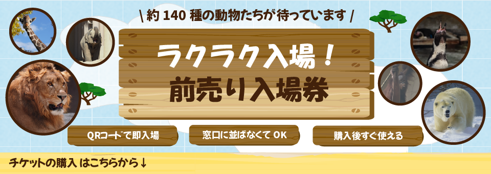 電子チケット購入バナー画像