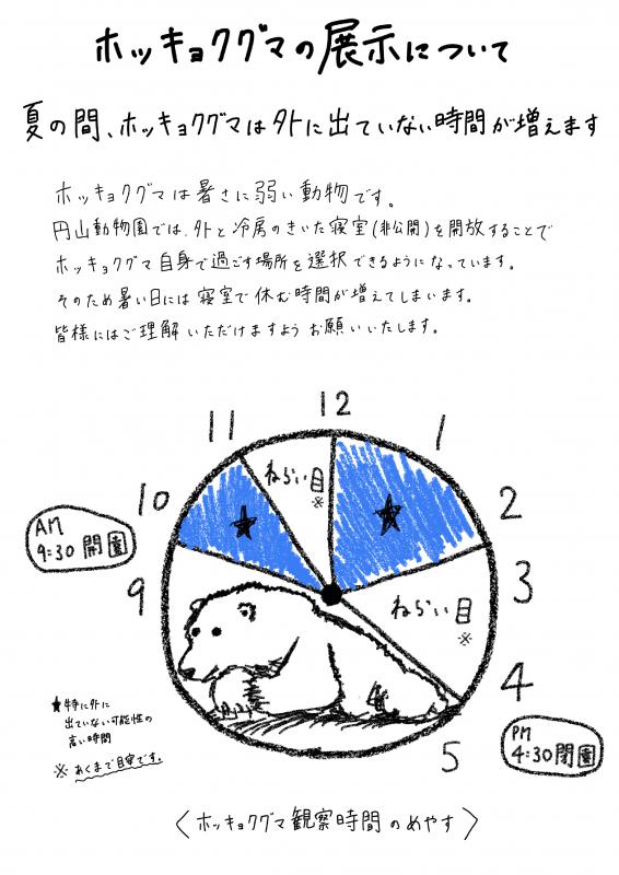 ホッキョクグマ展示（夏季）