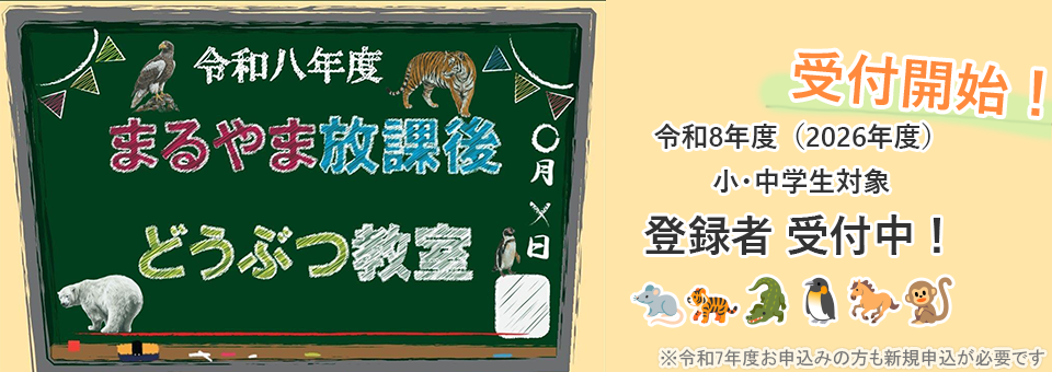 令和８オンライン授業