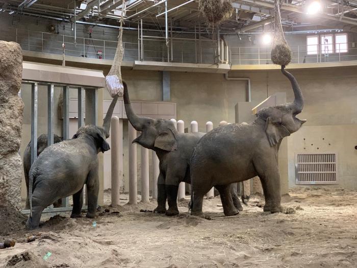 動物園への寄付