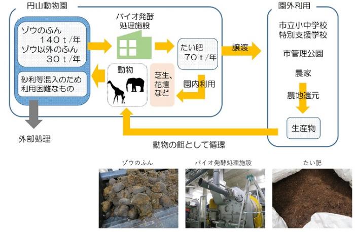 ゾウのフンのたい肥化による循環