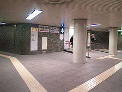 画像:二股の道