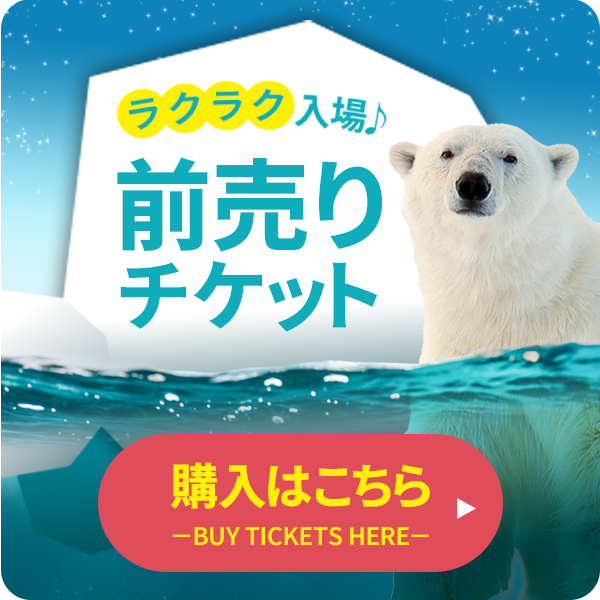 オンラインチケットバナー