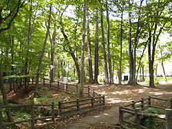 画像:円山公園