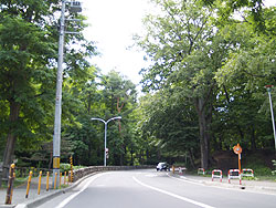 画像:道路