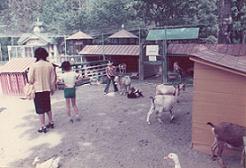 画像：1976年、こども動物園の様子