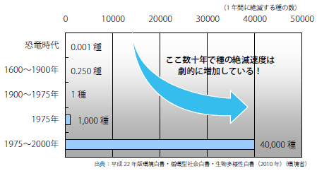 1年間に絶滅している種の数