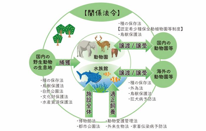 動物園の設置や運営に関する国内法令