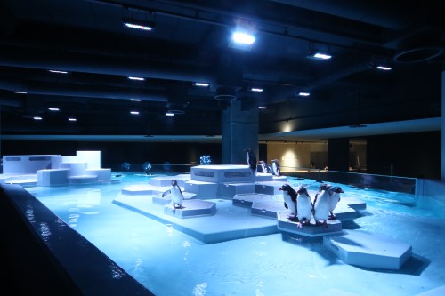 AOAO SAPPORO