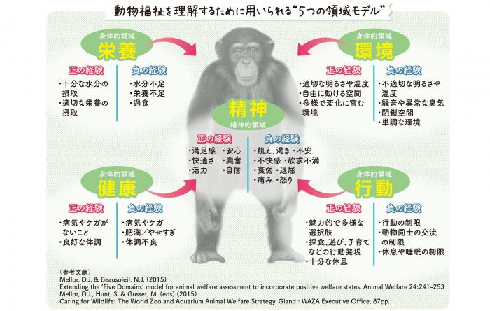 5つの領域モデル