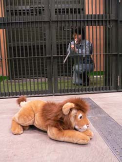 動物病院の体験