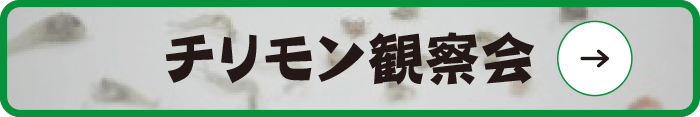 チリモン観察会バナー