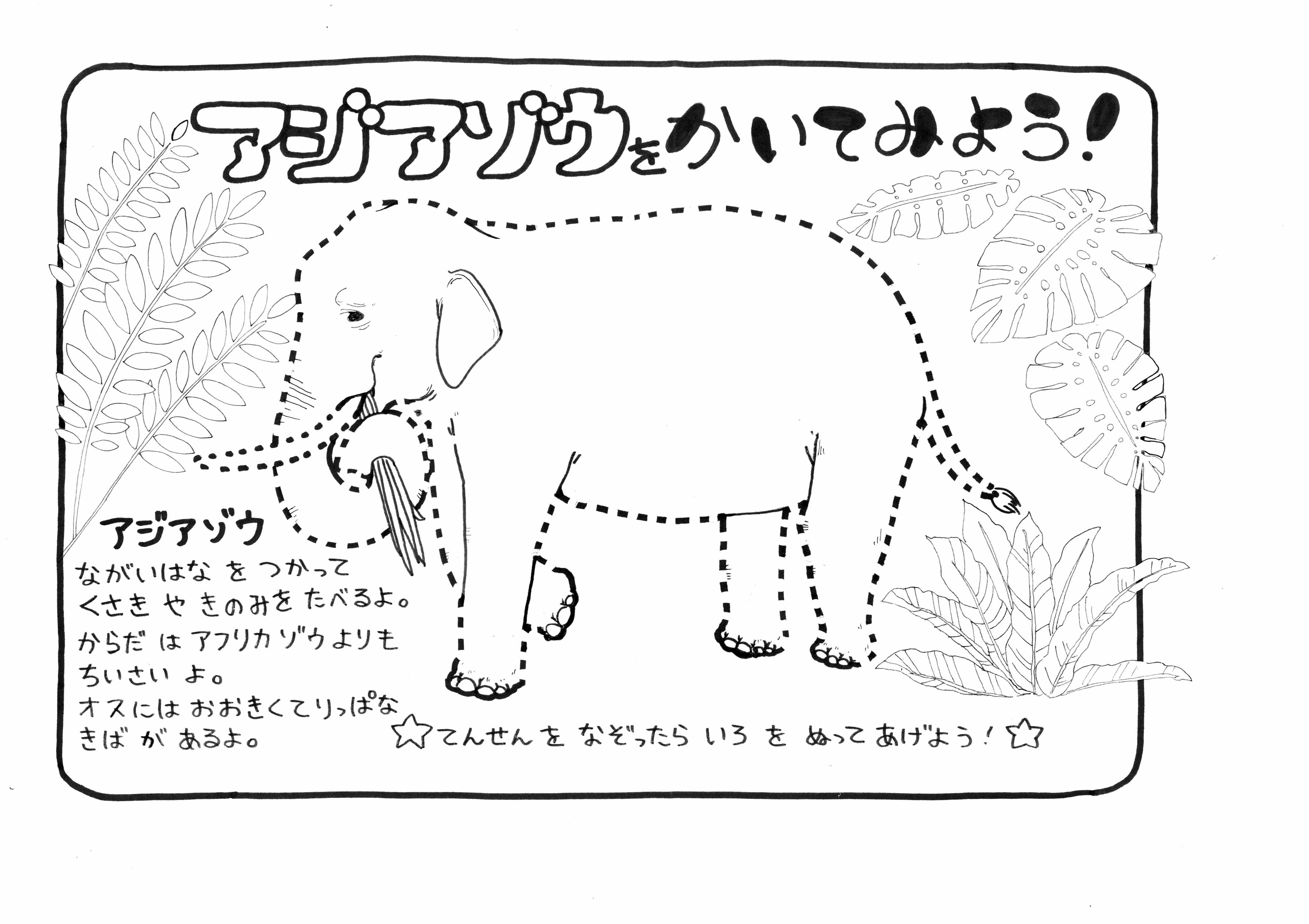 おうちで発見 動物ワークシート 札幌市円山動物園