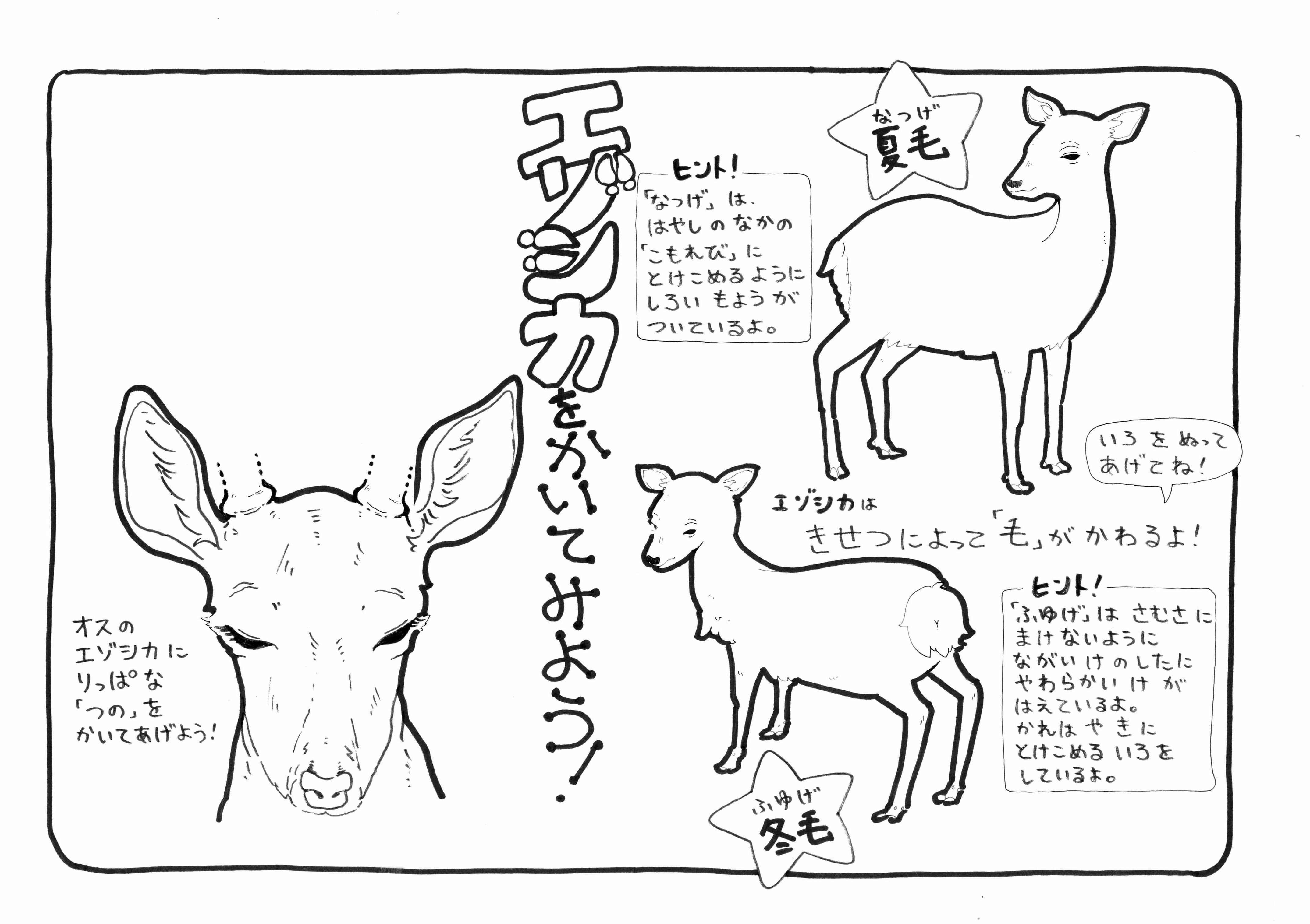 おうちで発見 動物ワークシート 札幌市円山動物園