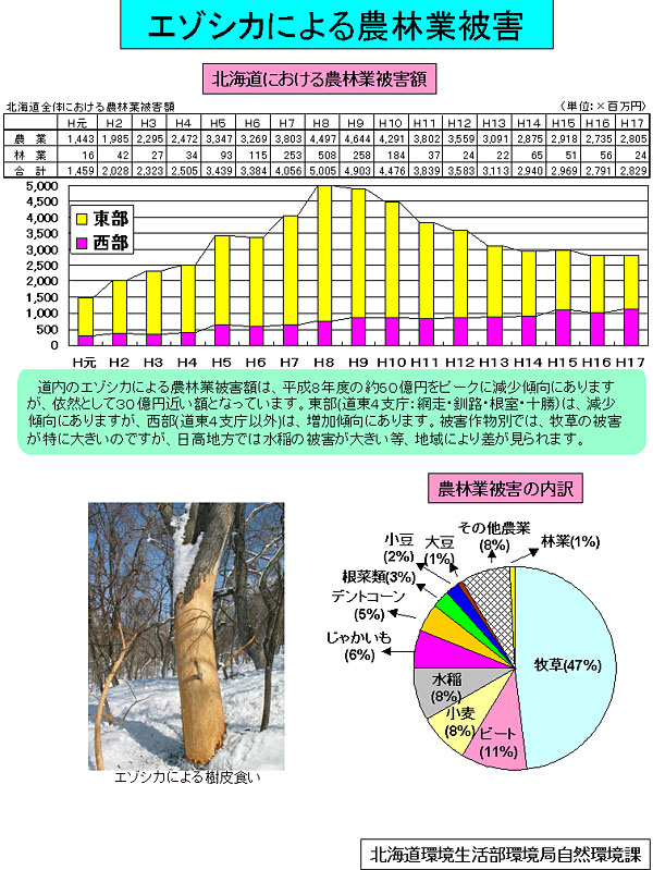 画像:エゾシカによる農林業被害