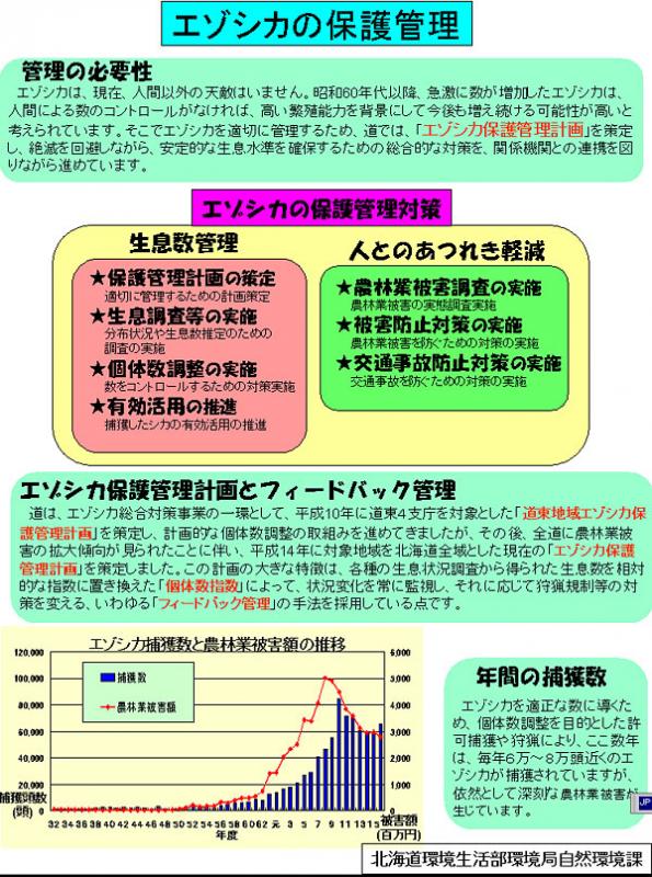 画像:エゾシカの保護管理