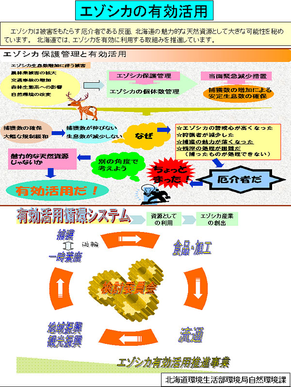 画像:エゾシカの保護管理