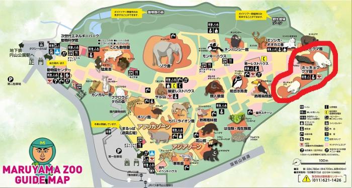 円山動物園マップ・ホッキョクグマ