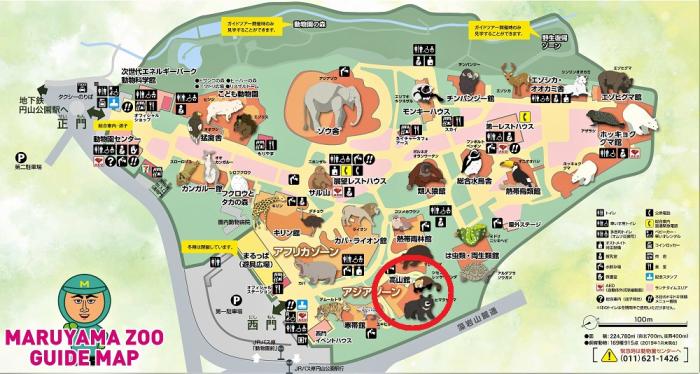 円山動物園マップ・シセンレッサーパンダ