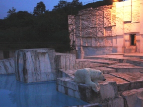 画像：夜の動物園でのララ。