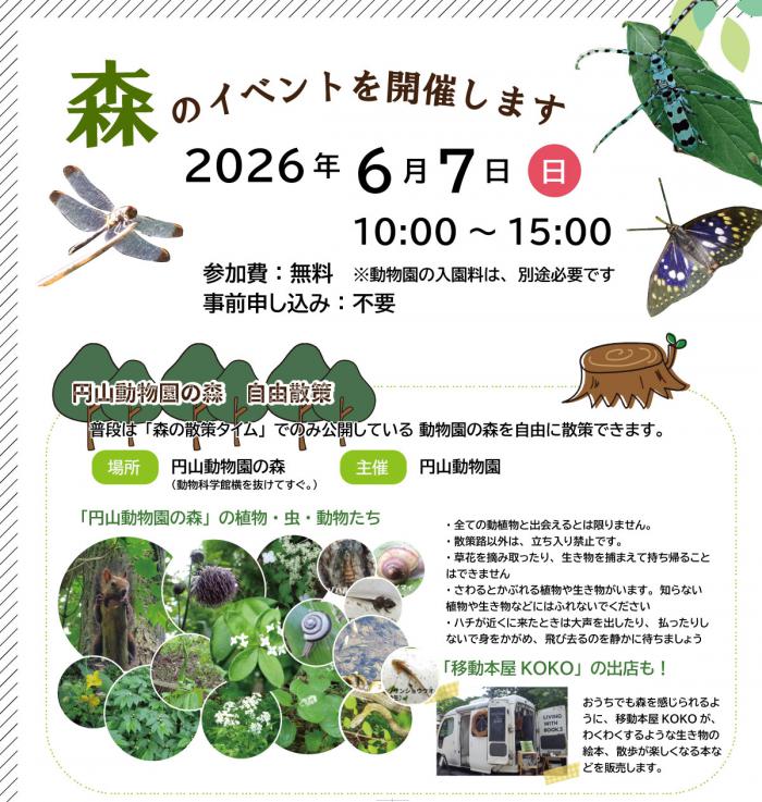 森のイベント
